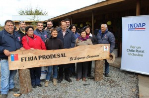 feriaprodesal